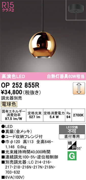 オーデリック ペンダントライト OP252855R