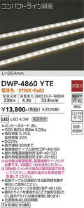大光電機　アウトドアライト　DWP-4860YTE