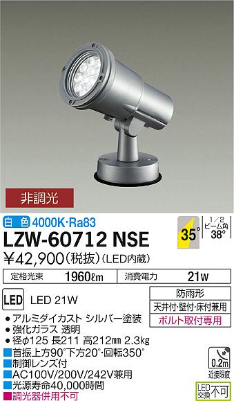 大光　アウトドアライト　LZW-60712NSE