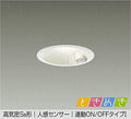 大光電機　ダウンライト　DDL-5301YW