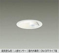 大光電機　ダウンライト　DDL-5394AW