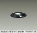 大光電機　ダウンライト　DDL-5394WB
