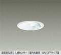 大光電機　ダウンライト　DDL-5394WW