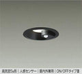 大光電機　ダウンライト　DDL-5394YB