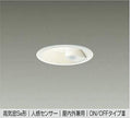 大光電機　ダウンライト　DDL-5394YW