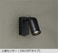 大光電機　アウトドアスポット　DOL-3762YBF