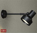 大光電機　アウトドアスポットライト　DOL-3766XB