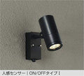大光電機　アウトドアスポットライト　DOL-4018YB