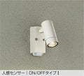 大光電機　アウトドアスポットライト　DOL-4962YW