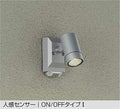 大光電機　アウトドアスポットライト　DOL-4968YS