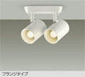 大光　スポットライト　DSL-4897YW