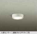 大光電機　アウトドアライト　DWP-40631A