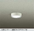 大光電機　アウトドアライト　DWP-40631W