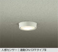大光電機　アウトドアライト　DWP-40631Y