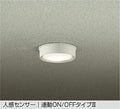 大光電機　アウトドアライト　DWP-40632A