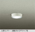 大光電機　アウトドアライト　DWP-40632W