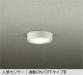 大光電機　アウトドアライト　DWP-40632Y
