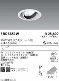 遠藤照明　ユニバーサルダウンライト　ERD6651WA