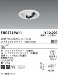遠藤照明　ユニバーサルダウンライト　ERD7319W