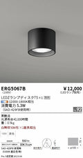 遠藤照明　シーリングライト　ERG5067B