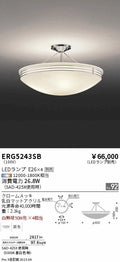 遠藤照明　シーリングライト　ERG5243SB