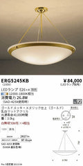 遠藤照明　シーリングライト　ERG5245KB