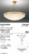 遠藤照明　シーリングライト　ERG5246KB