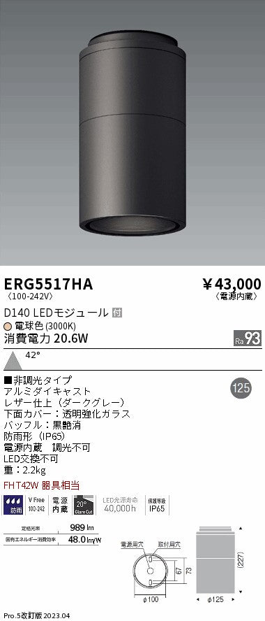 遠藤照明　軒下用シーリングダウンライト　ERG5517HB
