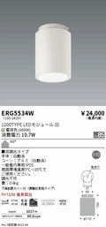 遠藤照明　シーリングダウンライト　ERG5534W