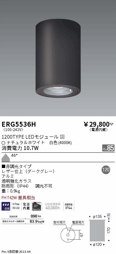 遠藤照明　軒下用シーリングダウンライト　ERG5536H