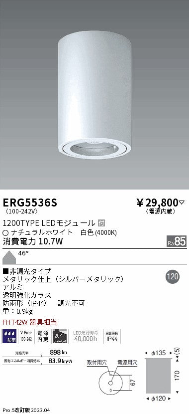 遠藤照明　軒下用シーリングダウンライト　ERG5536S
