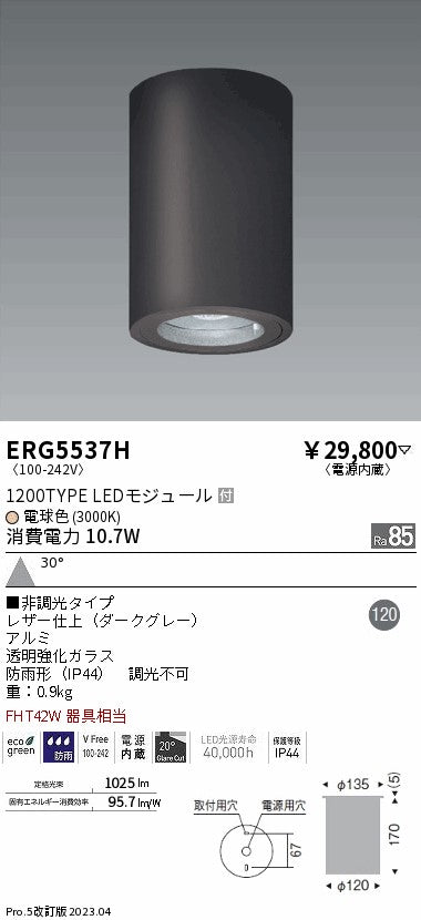 遠藤照明　軒下用シーリングダウンライト　ERG5537H
