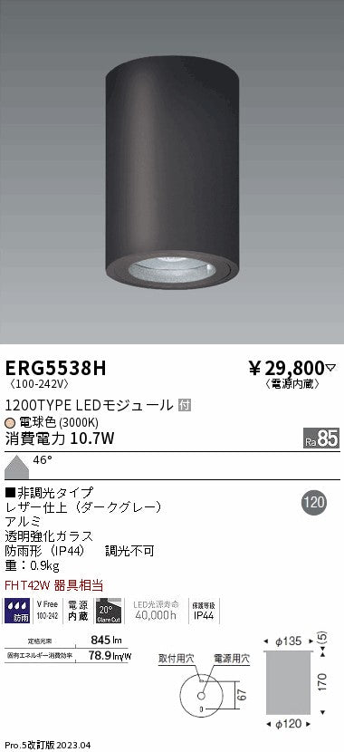 遠藤照明　軒下用シーリングダウンライト　ERG5538H