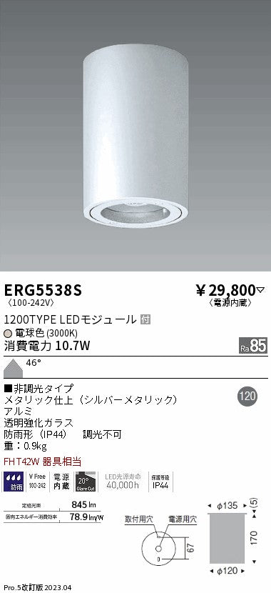 遠藤照明　軒下用シーリングダウンライト　ERG5538S