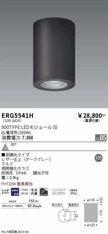 遠藤照明　軒下用シーリングダウンライト　ERG5541H