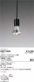 遠藤照明　ペンダント　ERP7145H