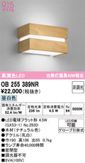 オーデリック　ブラケットライト　OB255389NR