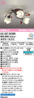 オーデリック　シャンデリア　OC257027BR