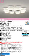 オーデリック　シャンデリア　OC257170BR