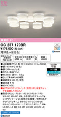 オーデリック　シャンデリア　OC257170BR