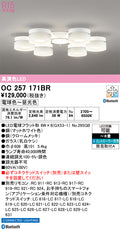 オーデリック　シャンデリア　OC257171BR