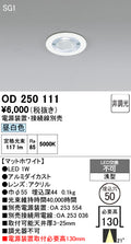 オーデリック　ダウンライト　OD250111