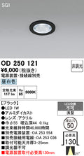 オーデリック　ダウンライト　OD250121