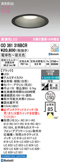 オーデリック　ダウンライト　OD361316BCR