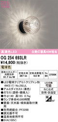 オーデリック　ポーチライト　OG254693LR