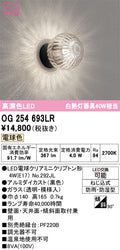 オーデリック　ポーチライト　OG254693LR