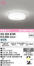 オーデリック　エクステリアダウンライト　OG254873R