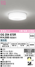 オーデリック　エクステリアダウンライト　OG254873R