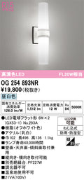 オーデリック　ポーチライト　OG254893NR