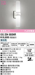 オーデリック　ポーチライト　OG254893NR